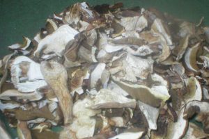 prodaja_suhi_vrganj2