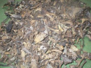 vendrija-suha-crna-truba